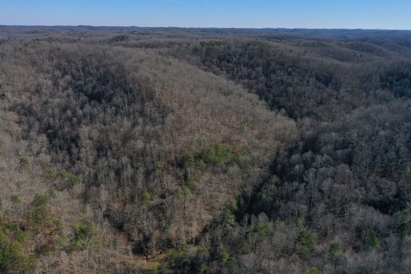 028 aerial drone shot from the northwest boundary of the property