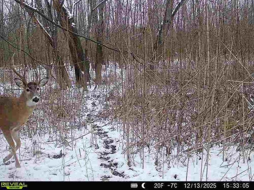 860516067590228-100-2-12132025153304-V-W1000173