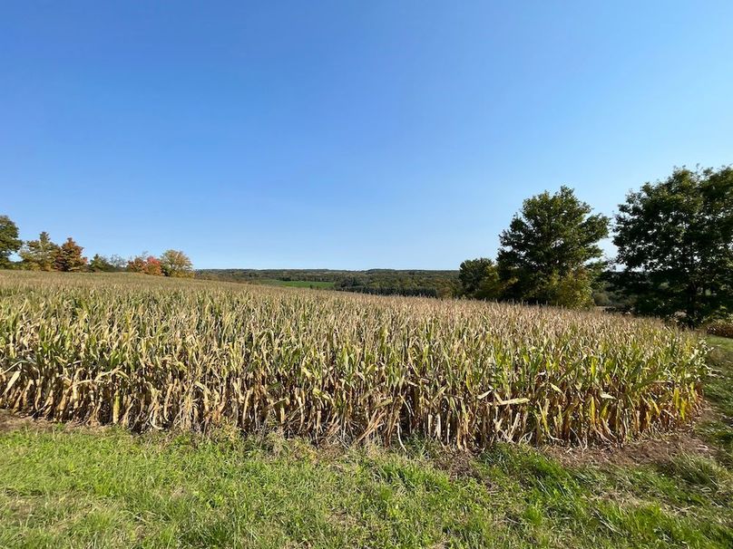 Yates_29_Stape Photo 34