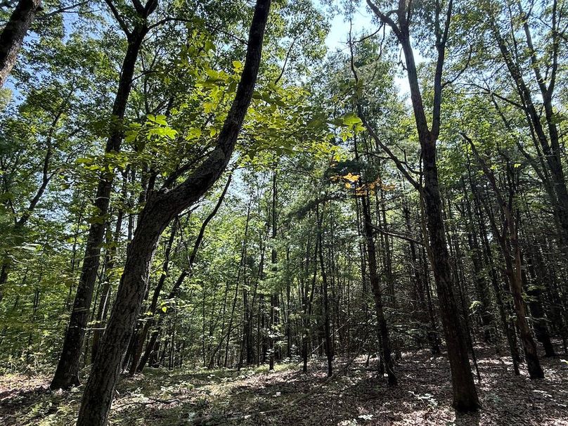 Chemung_20.82_Meyers Photo 15