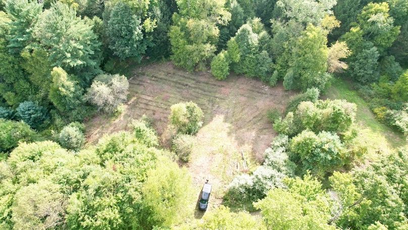 dji_fly_20240909_165332_627_1725915625112_photo