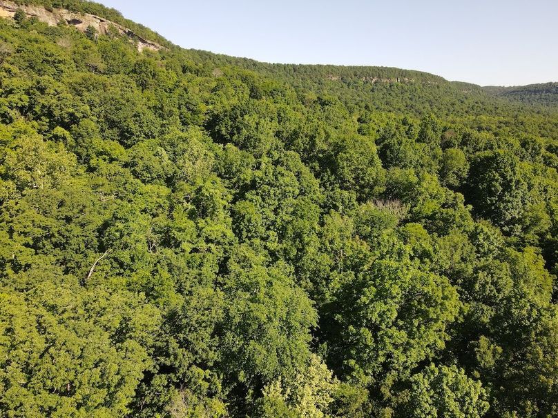 DJI_0393