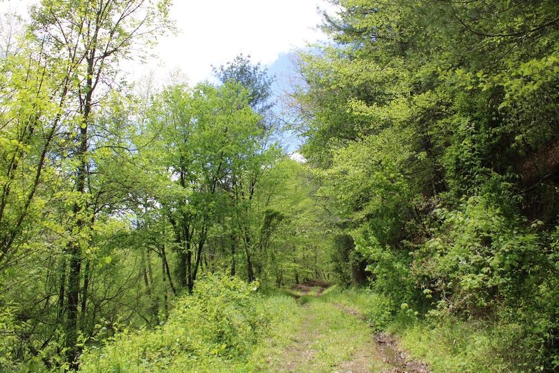 009 great internal road structure