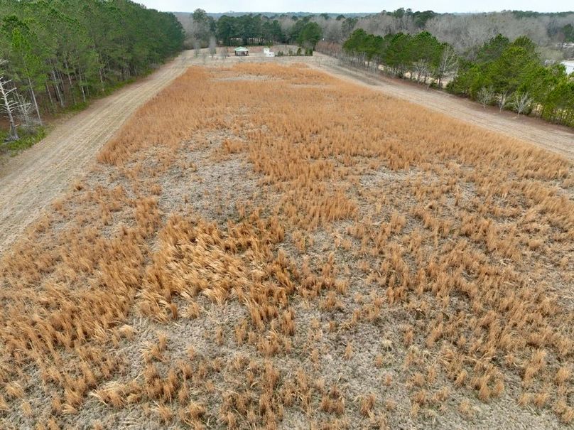 dji_fly_20260210_114216_265_1770741964799_photo