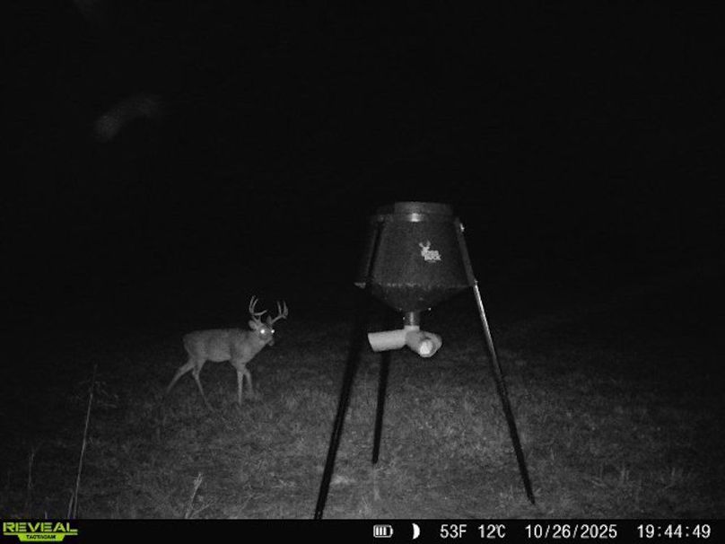 860516065555348-50-4-10262025194448-W1004295