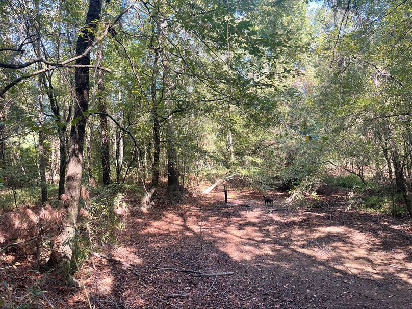 4DB2B2A5-46CE-472D-8D75-395794D8E71A_1_105_c