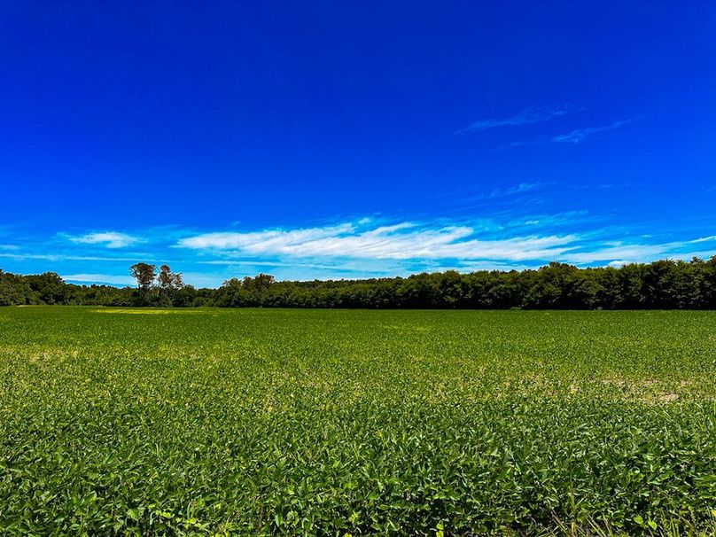 Chickasaw 160 Porter-20