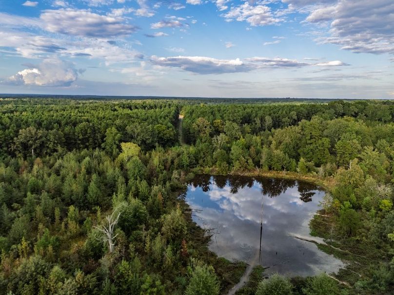 22 46 Edited Harison co. 206 - Ed Robb-106