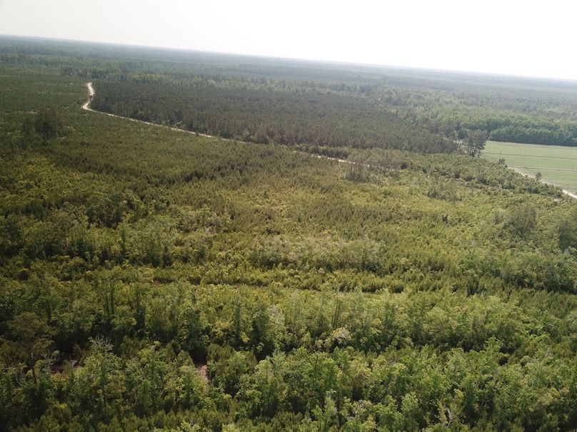 DJI_0024