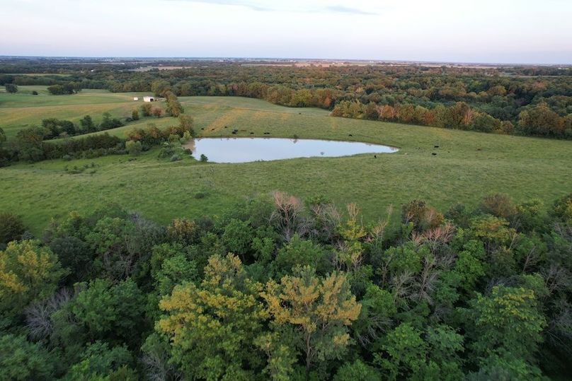DJI_0338