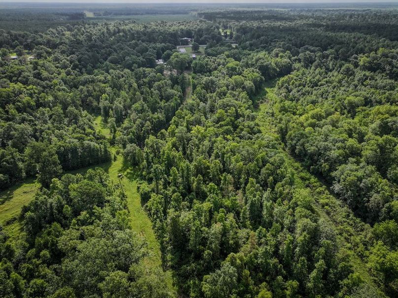 Copy of DJI_20240627094118_0207_D