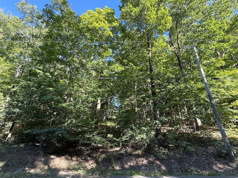 Ontario_2.7_Proseus Photo 8