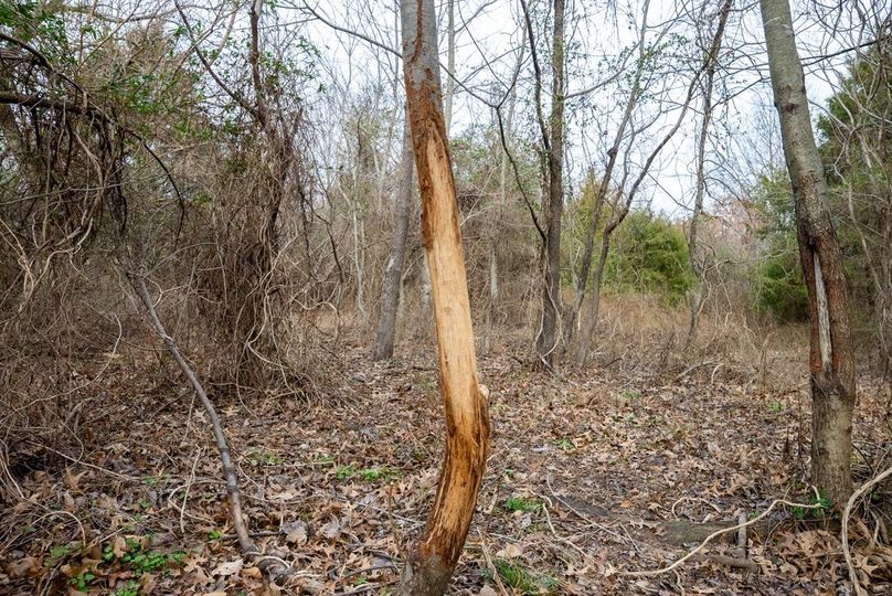 Copy of DSC00760 Large