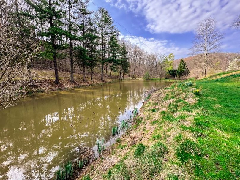 Ritchie, WV 206.08 AC Curriden-04