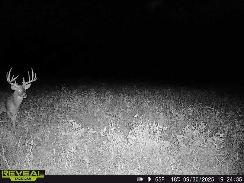 Copy of Trail photos.17