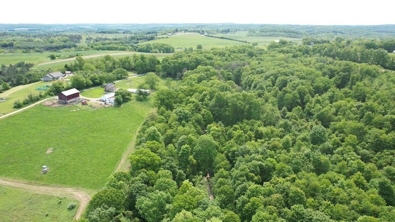 dji_fly_20250602_111852_279_1748877822150_photo