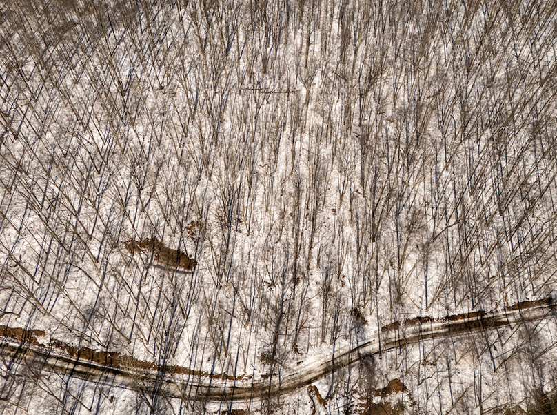 Screenshot 2026-02-11 at 10.33.39 AM