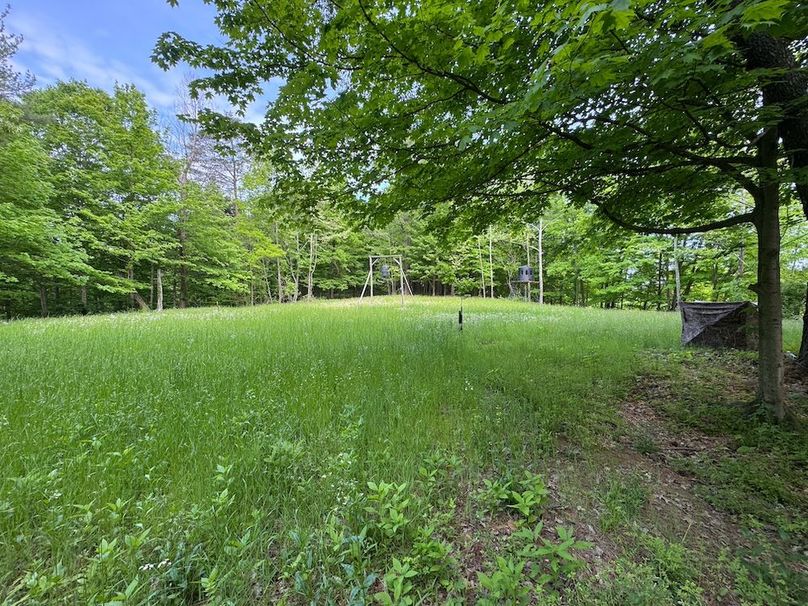 Pleasants, WV 168.59 AC Superior, Swank, Young-069