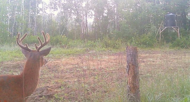 25081306204601001173 (1)