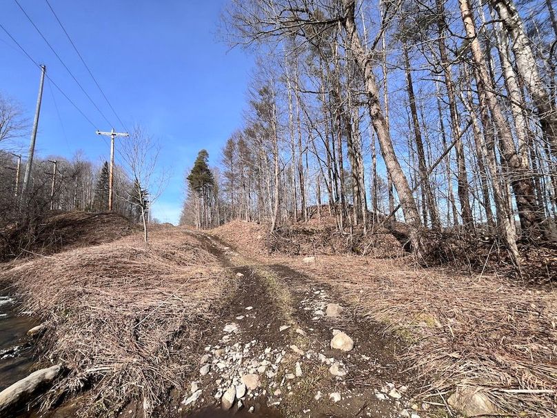 Lewis_26_Somberg Photo 30