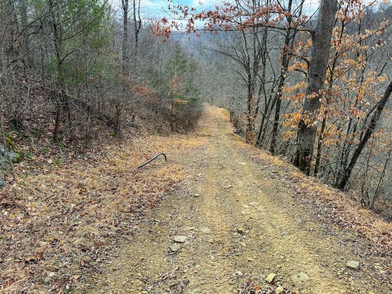 Doddridge, WV 79.08 AC Adams-68