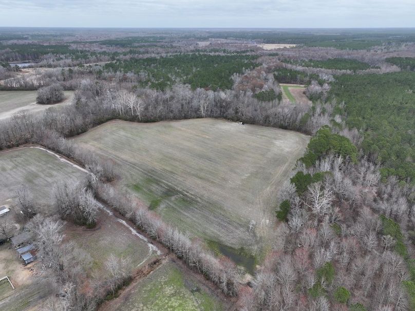 dji_fly_20260218_143656_0515_1772500089499_photo