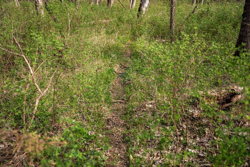 WabaunseeKansas887.39-162