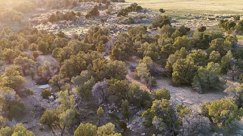 DJI_20250409192856_0081_D