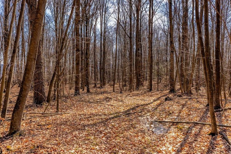 75-web-or-mls-IMG-75