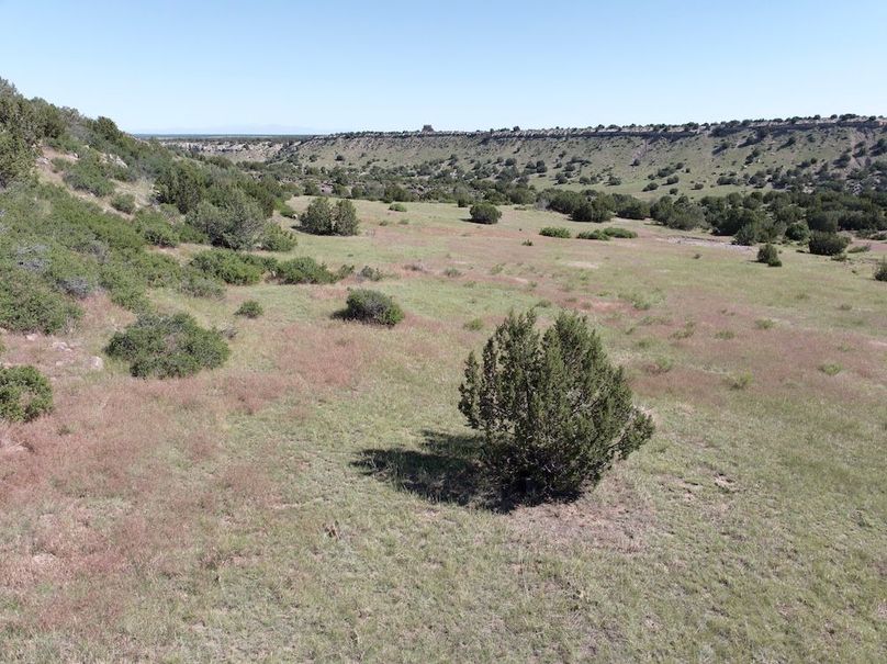 DJI_20250619093531_0028_D