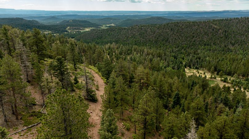 Copy of Los Alamos 508 6-24 Drone-21