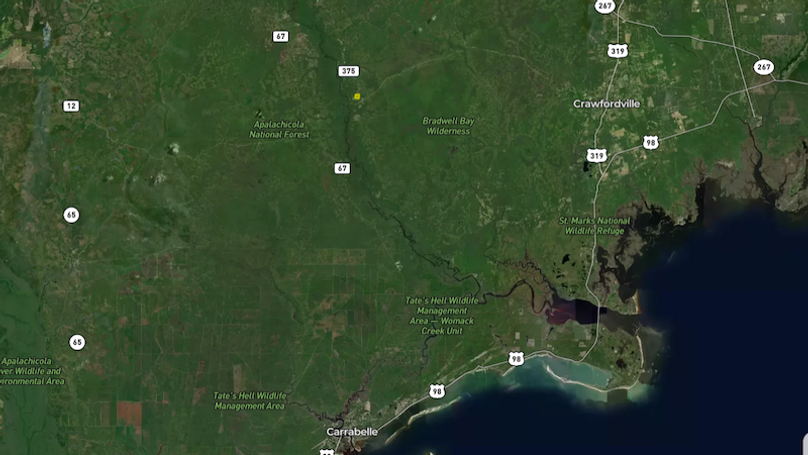 31.25 Wakulla Gomes Aerial # 3