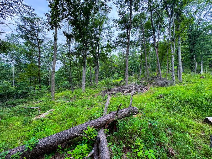 Tyler, WV 46 Lemasters -30