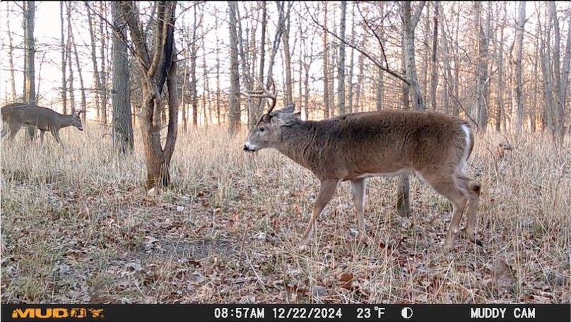 C Image 12-28-24 at 6.26 PM 2