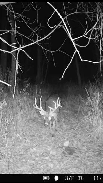 937FE4C8-CCF4-4106-8282-8315C812C610_1_201_a