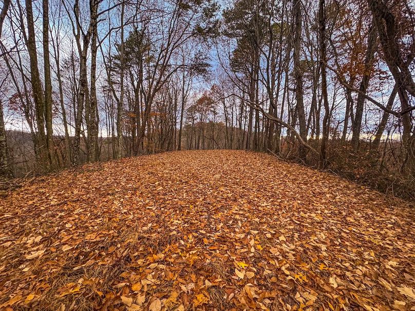 Ritchie, WV 14.081 AC Currey-40