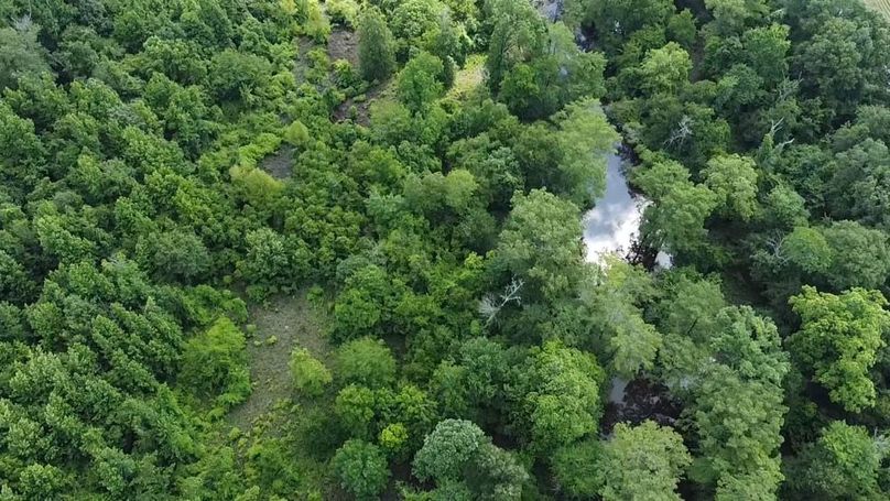 2024-06-01-10-42-09-915