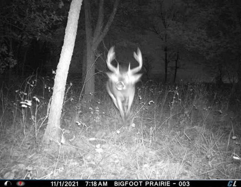 F62D8B34-6670-43C2-B1F8-5786E3B406E1