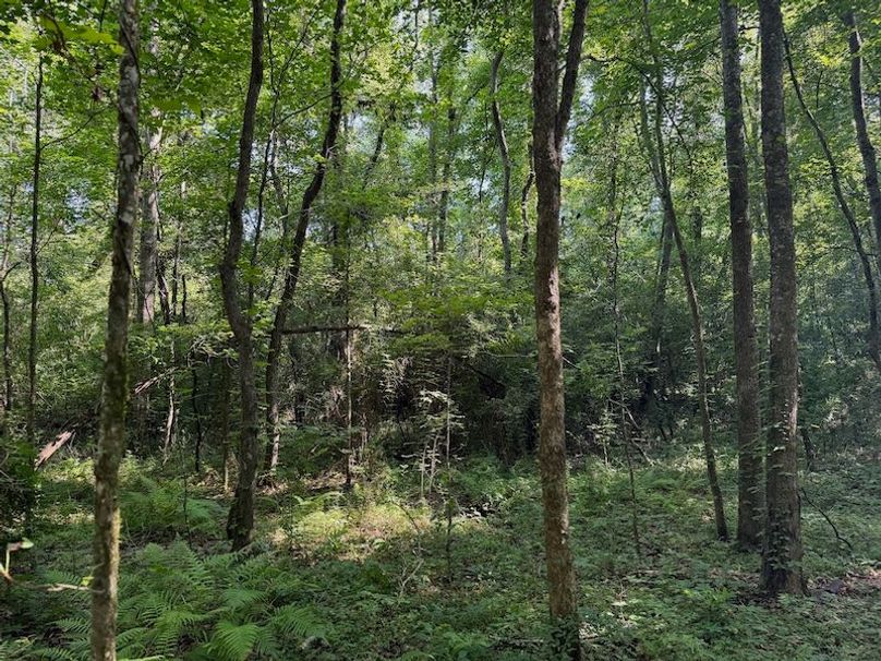 B176FD1F-F7A4-4286-B13A-6D35D0A1D321