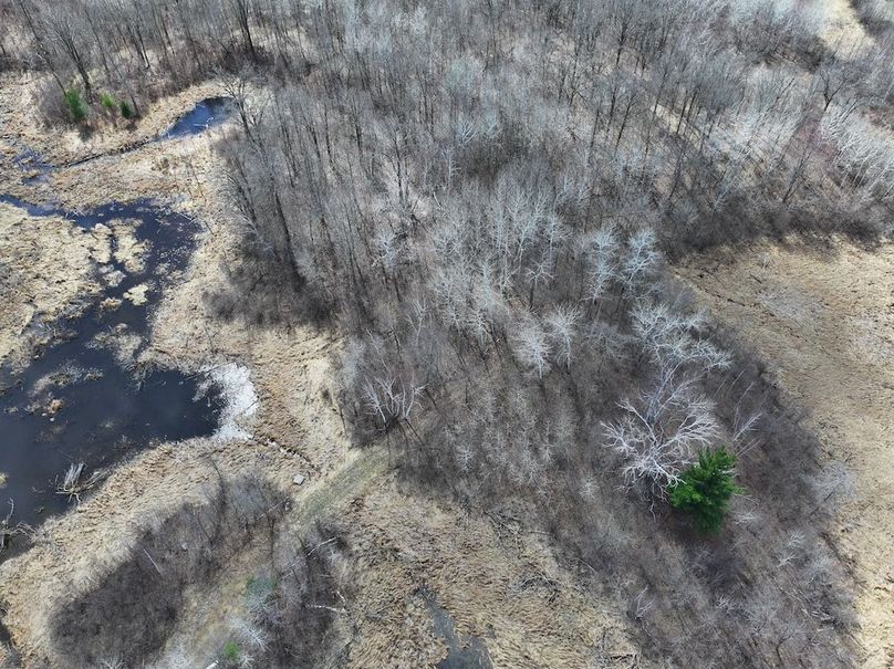 dji_fly_20260428_155930_0781_1777474360436_photo