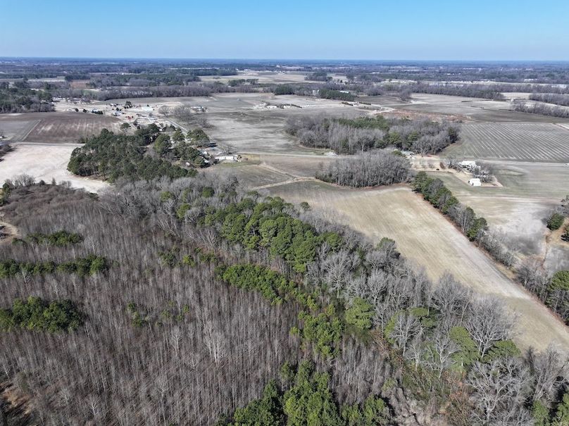 DJI_20260201120709_0390_D