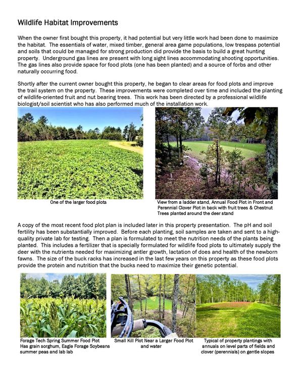 Property Brochure_Page_06