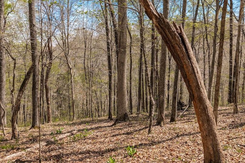 39-web-or-mls-0 Mound Creek Rd-9