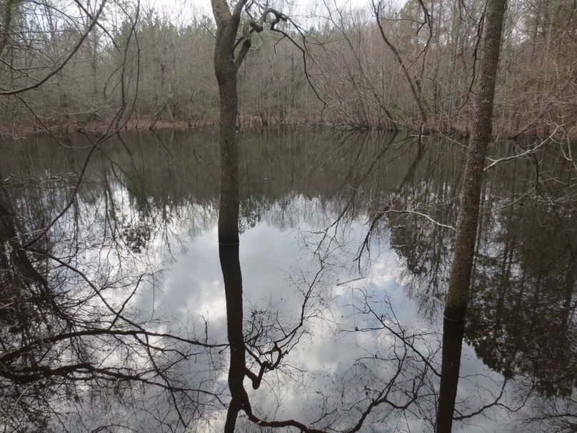 FE400242-A014-4E76-859F-1688C93F17C8_1_105_c