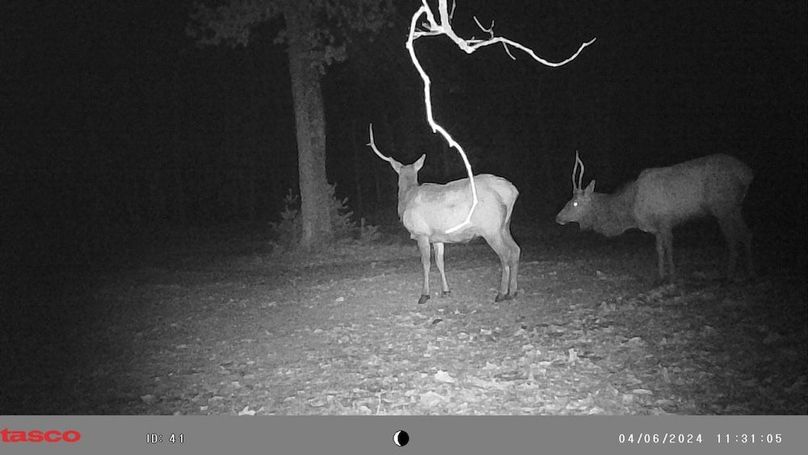 2024_04_06_2elk_Point