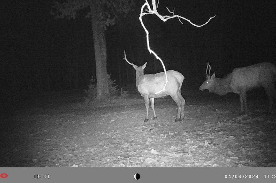 2024_04_06_2elk_Point