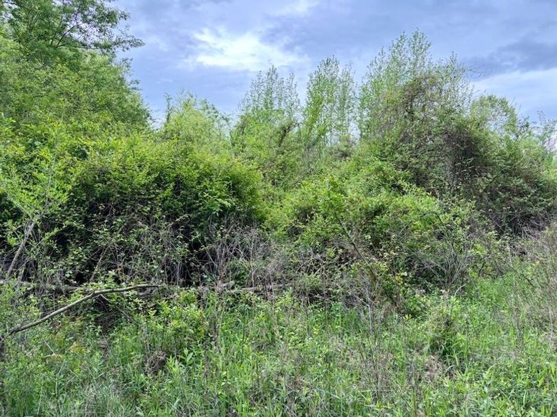 47A69AEC-8B3A-4EFD-9C2E-38B6EF57978A_1_105_c