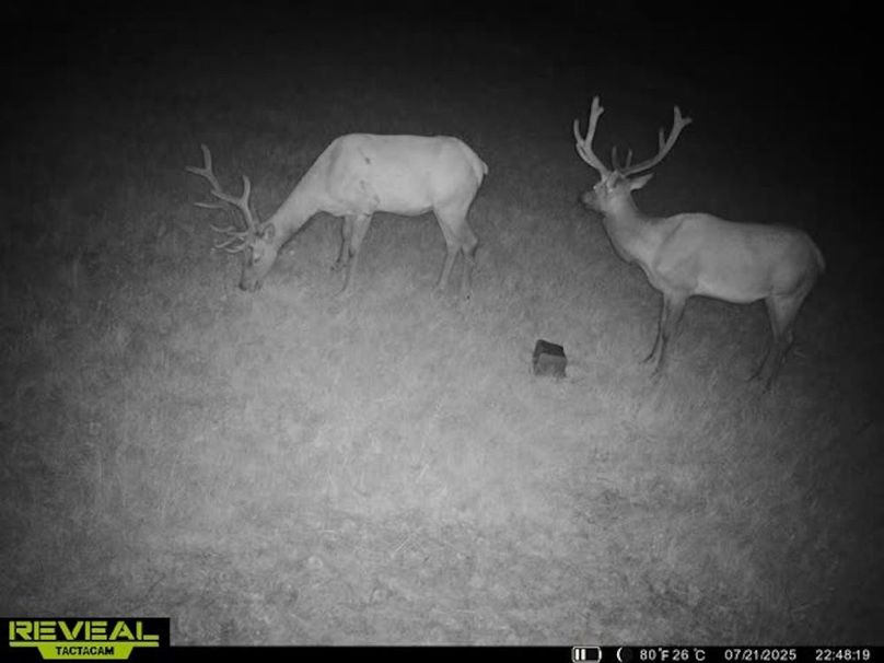 865509052769050-20-2-07212025224851-V-W1001859