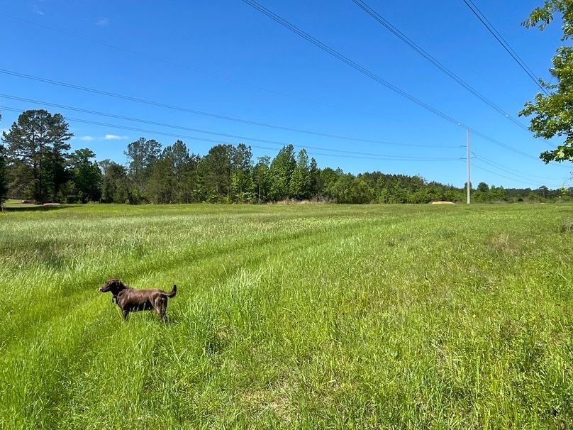 35C9E40F-E439-41CB-8512-3ED4B71535C7_1_105_c