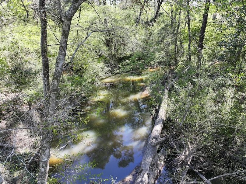 dji_fly_20260317_091142_0396_1773768879440_photo